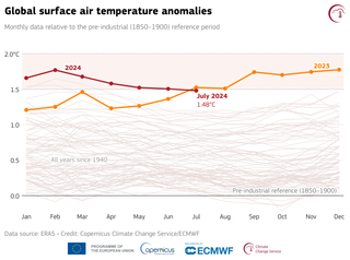 Julio de 2024: el segundo mes más caluroso de la historia a escala mundial con las temperaturas medias diarias más altas