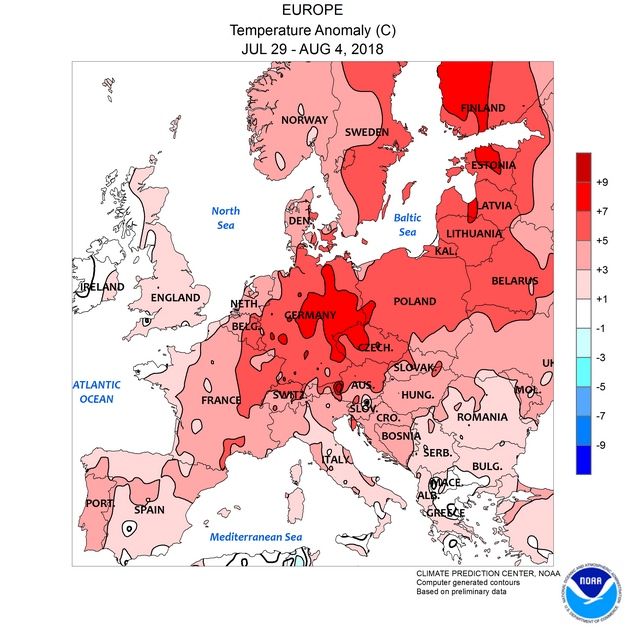 Foto 2: Anomalías térmicas para el periodo 29 julio – 4 de agosto de 2018. NOAA Anomalías térmicas para el periodo 29 julio – 4 de agosto de 2018. NOAA