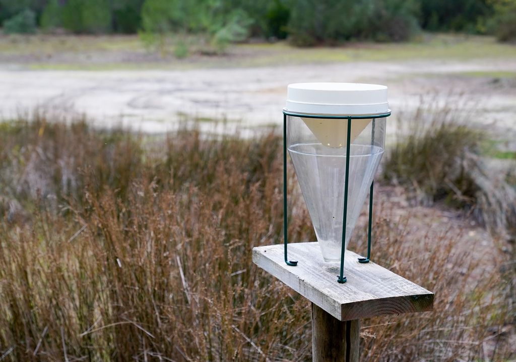 pluviómetro seco sobre un soporte de madera