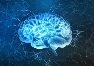 Jung im Kopf und wir leben länger