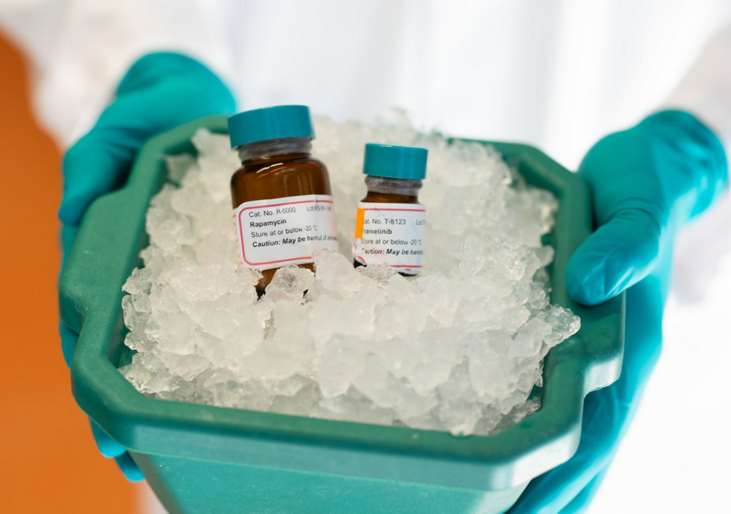 Die Behandlung mit den Medikamenten Rapamycin und Trametinib zusammen kann das Leben von Mäusen verlängern.