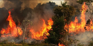 Junio 2021: El peor junio en los incendios forestales en la Amazonía