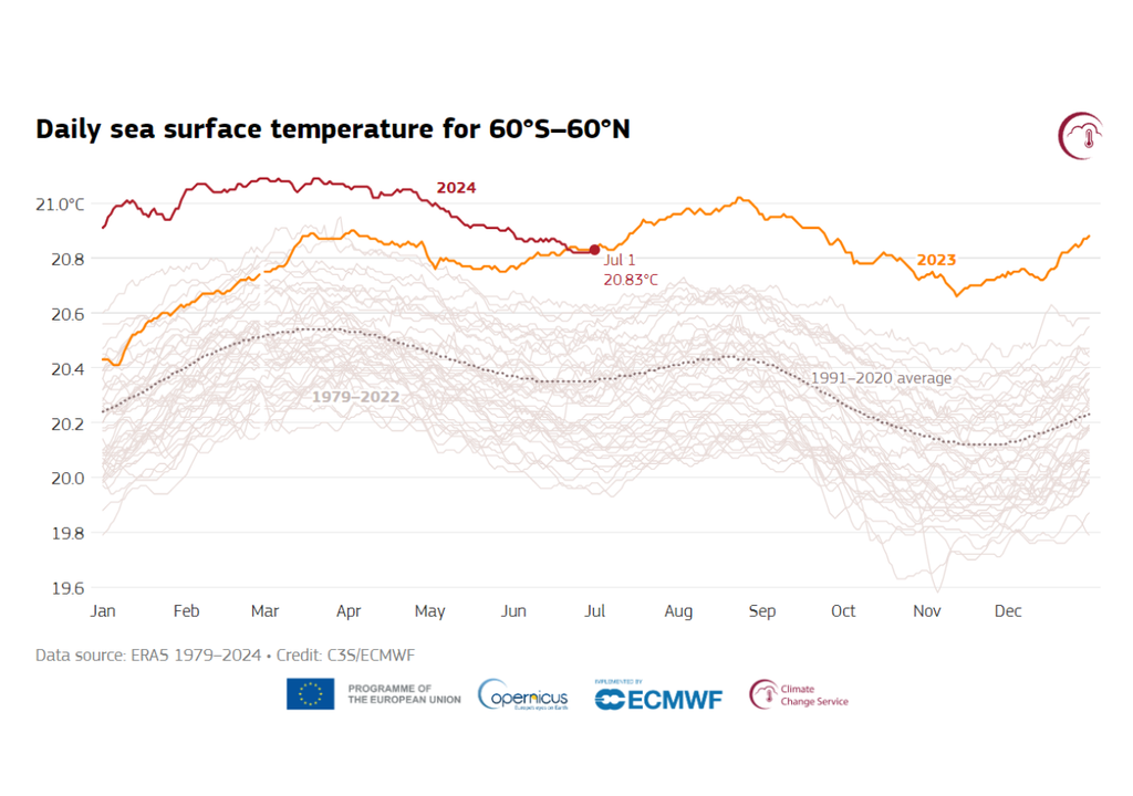 Temperatura media diaria de la superficie del mar (°C). Temperatura media diaria de la superficie del mar (°C).