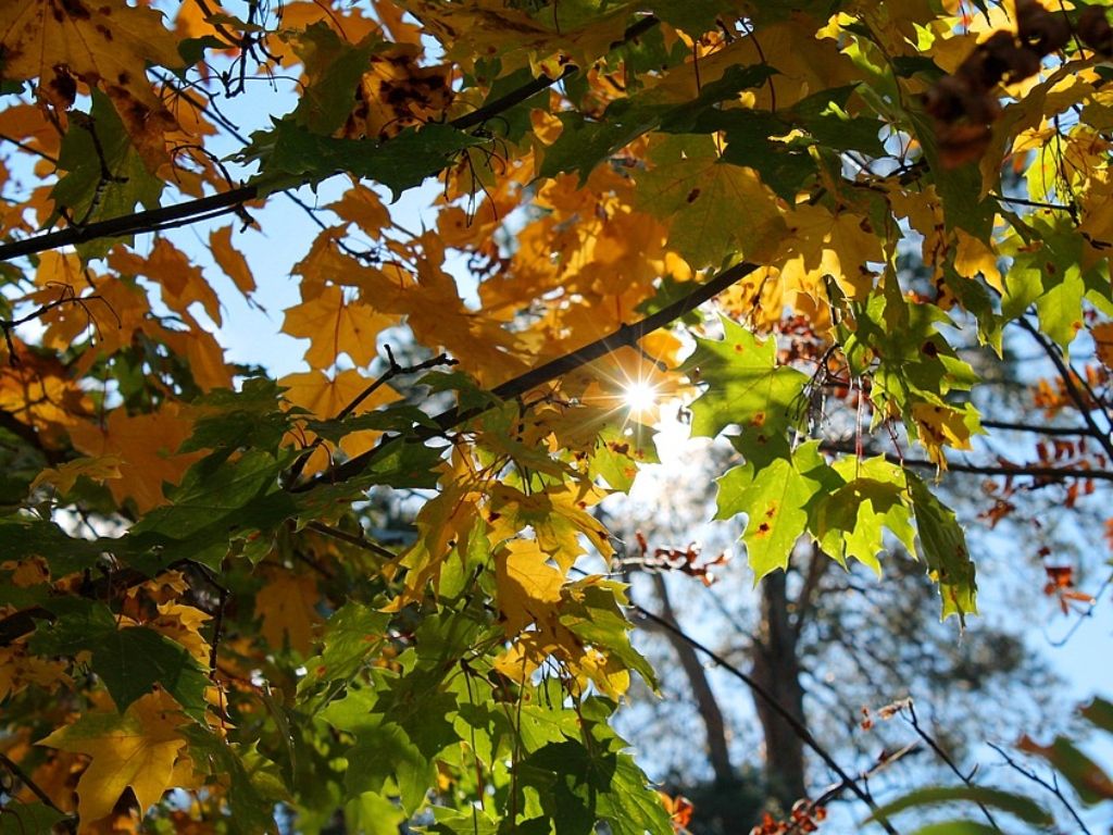 Junio frío tiempo clima pronóstico Invierno