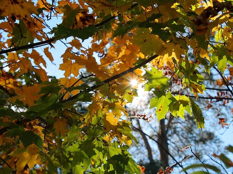 Junio frío tiempo clima pronóstico Invierno Junio frío tiempo clima pronóstico Invierno