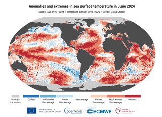 Junio de 2024 encadena 12 meses en los que la temperatura mundial ha superado el umbral de los 1,5 °C , según Copernicus