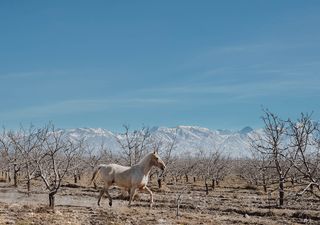 Junio: tendencias climáticas de Argentina para un mes en transición