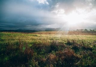 Junio termina con pronóstico de heladas en Argentina