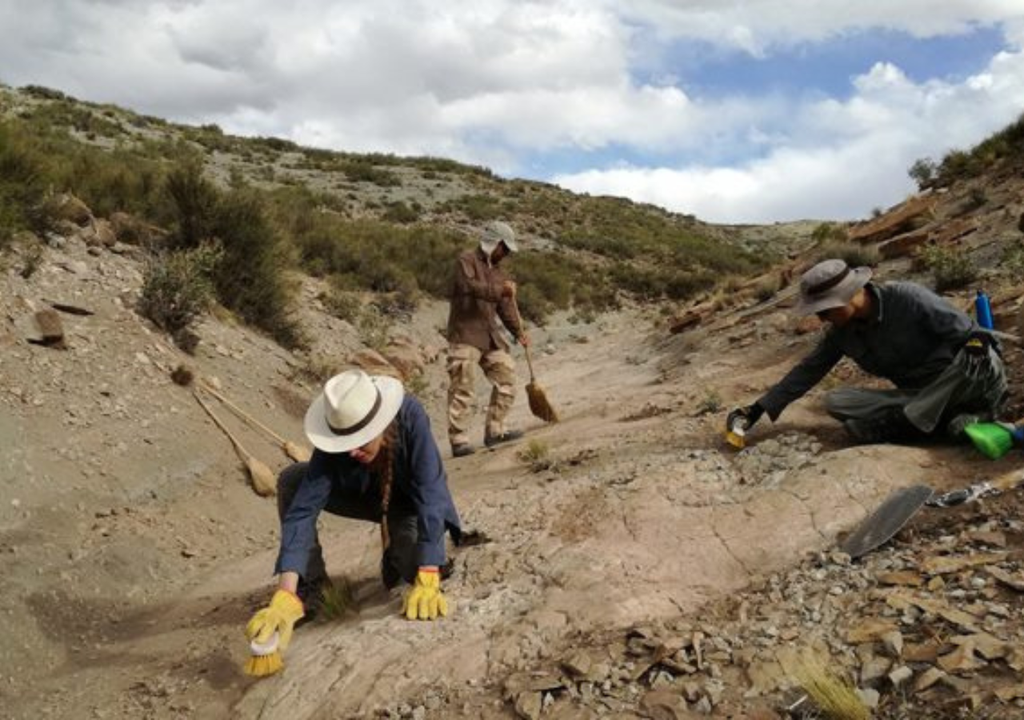 El Parque de Huellas de Dinosaurios de Mendoza cuenta con más de 400 marcas de pisadas de especies. Foto: Gentileza Conicet Argentina