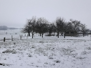 Jusqu’à -10°C, neige en plaine : une arrivée fracassante de l'hiver !