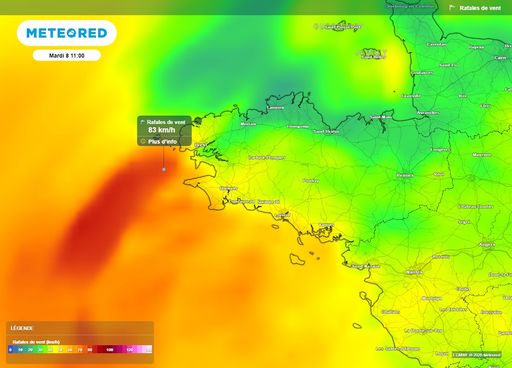 Jusqu'&agrave; 90 km/h en rafales : des vents forts attendus dans plusieurs r&eacute;gions de France ce mardi