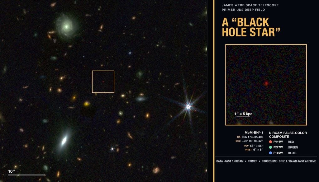 Aufnahmen des James Webb Space Telescope (JWST), auf denen der Schwarzes-Loch-Stern als kleiner roter Punkt (Little Red Dot) hervorsticht. Jeder kleine rote Punkt könnte von einem Schwarzes-Loch-Stern angetrieben werden. Bild: Naidu et al., 2026
