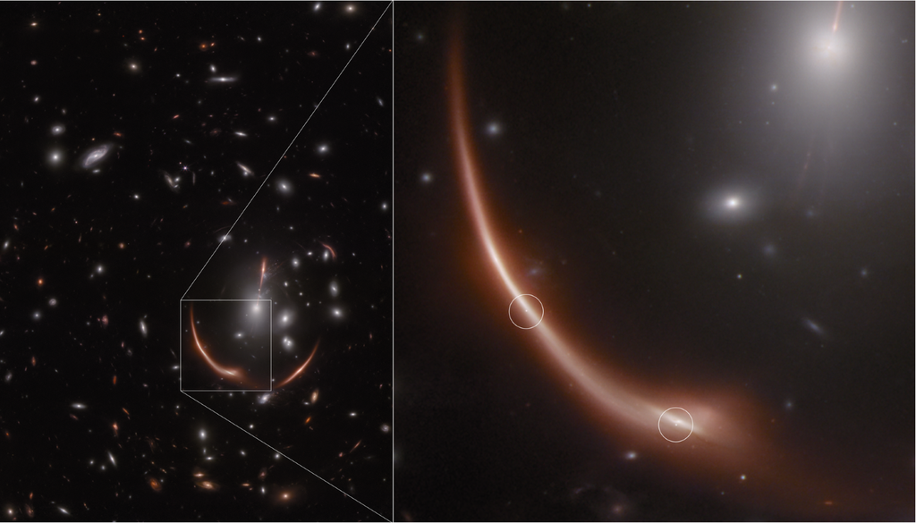 Imagen tomada por la cámara NIRCam del Webb donde se observan dos imágenes de la supernova. Crédito: NASA, ESA, CSA, STScI, Justin Pierel (STScI), Andrew Newman (CIS).