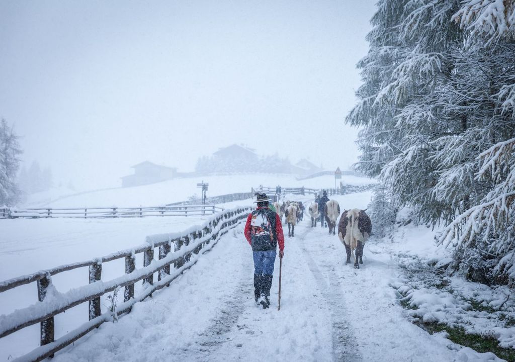 wintereinbruch, alpen, schnee wintereinbruch, alpen, schnee