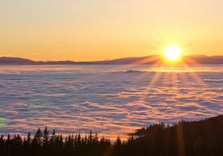 Kältewelle in den Niederungen - Frühling auf den Bergen!