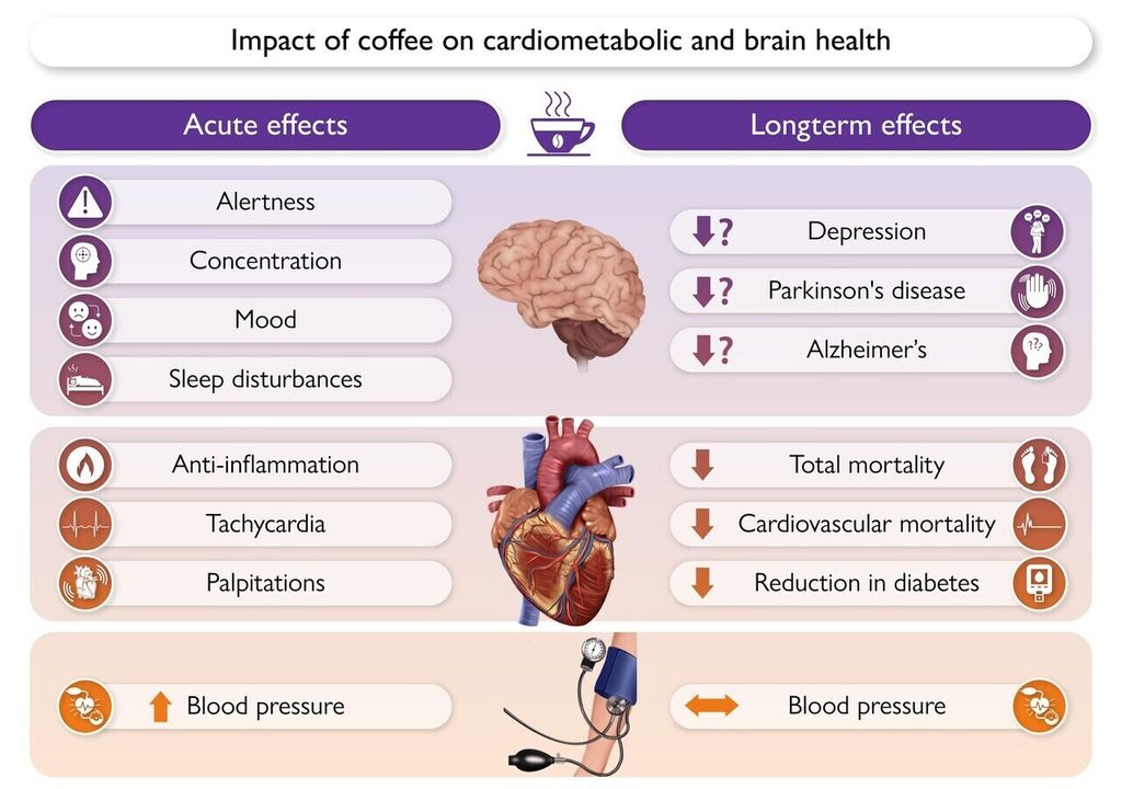Kurzzeit- und Langzeiteffekte auf die Gesundheit von Herz und Gehirn Kurzzeit- und Langzeiteffekte auf die Gesundheit von Herz und Gehirn
