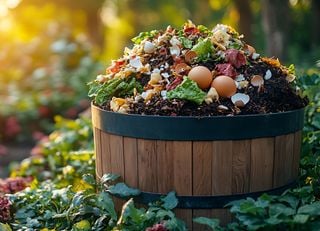 Kaffeesatz: Das geheime Wundermittel für deinen Garten – So nutzt du es richtig!