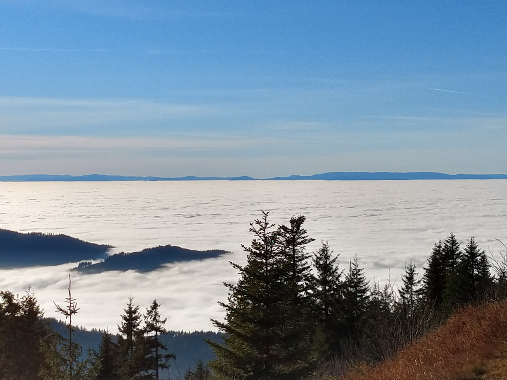 Nebelmeer im Rheintal Nebelmeer im Rheintal