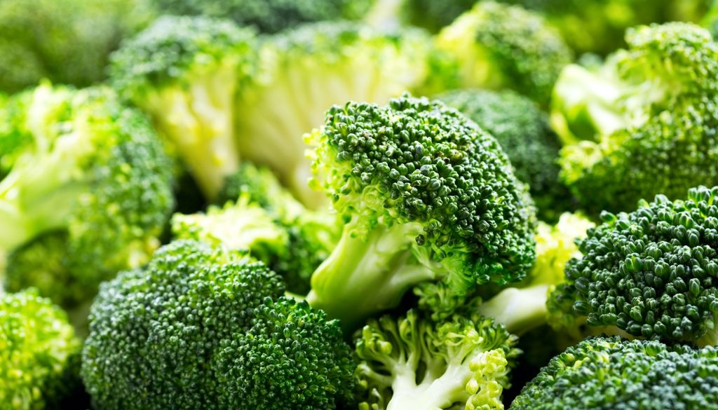 plantas Aporta una alta concentración de nutrientes y requiere macetas de buen tamaño para desarrollar su pella central.