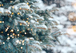 Temperatursturz an Weihnachten: Nach Rekordwärme kälter!