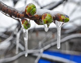 Kälte bis Mai? Kein Frühlingswetter in Sicht - Ostern könnte weiß werden!