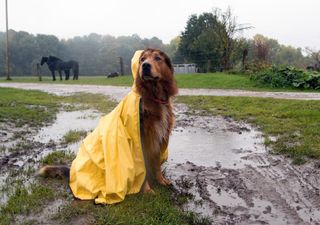 Deutschland bekommt das kälteste Wochenende seit über 2 Monaten!