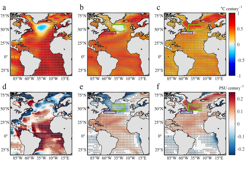 Temperatur- und Salzgehaltstrends Temperatur- und Salzgehaltstrends