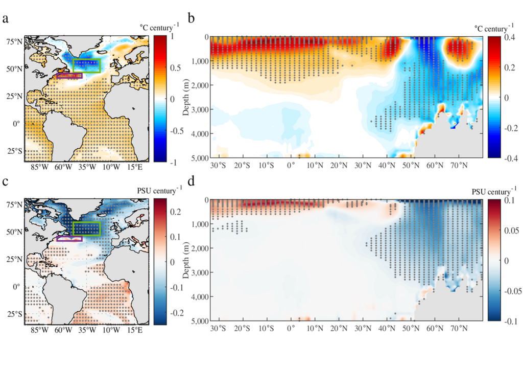Temperatur- und Salzgehaltstrendunterschiede Temperatur- und Salzgehaltstrendunterschiede