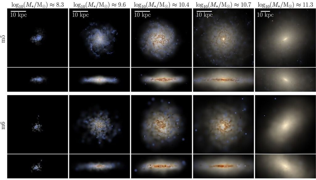 Vergleich von Galaxienformen über verschiedene COLIBRE-Auflösungen hinweg. Pro Spalte werden Aufnahmen jeweils von Front bzw. von Seite einer Galaxie gezeigt. Bild: Schaye et al., 2026