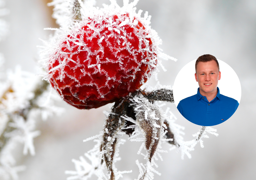 Meteorologe Johannes Habermehl warnt vor einem "echten Frostschock" zum Monatswechsel.