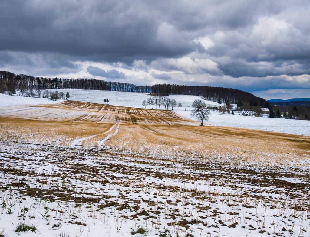 Schnee, Flecken, Winter