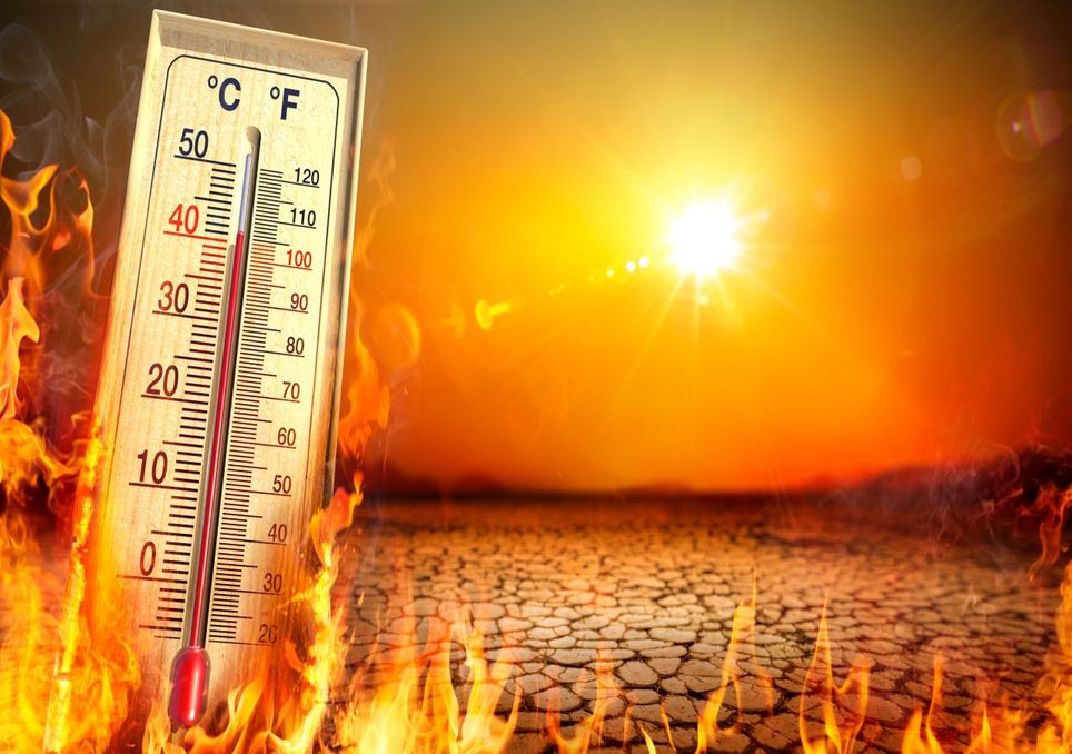 Katastrophale Prognose für Juli und August: Hitzesommer und Dürre!