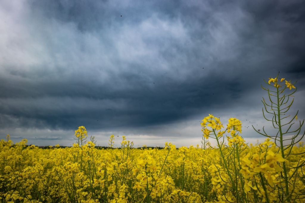 Wochenende Das Wochenende wird in NRW entgegen früherer Prognosen noch wechselhaft und kühl