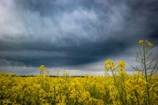 Kein Sommerwetter am Wochenende in NRW - "Verschieberitis in den Modellen" l&auml;sst die Hitze warten