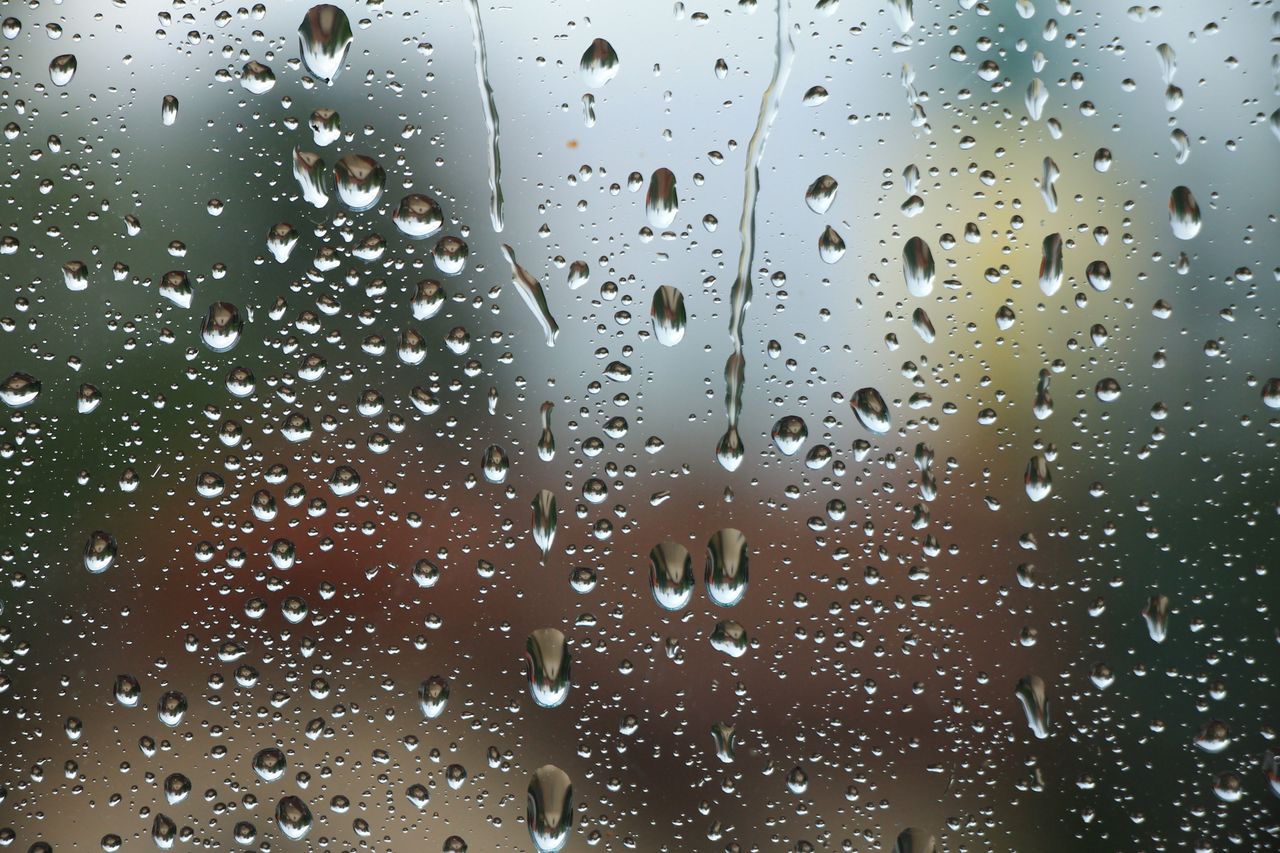 Kein Winter in Sicht_ Mildes Schmuddelwetter für NRW - Meteorologe Köss: "Nächste Woche bis zu 15°C möglich"