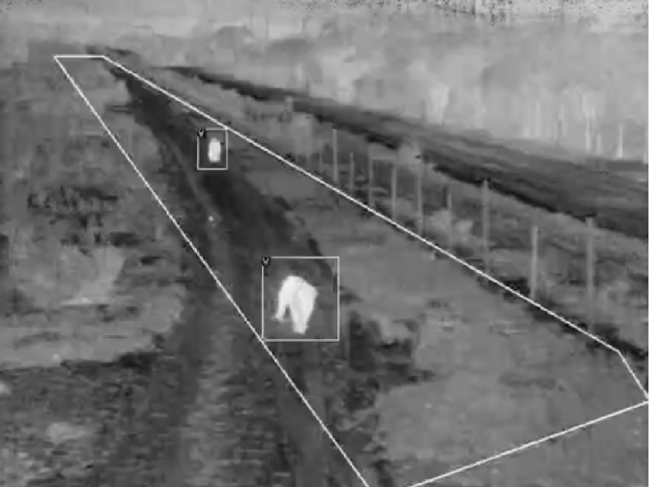 La cámara térmica, permite detectar los diversos objetos en la noche. Imagen tomada de WWF.