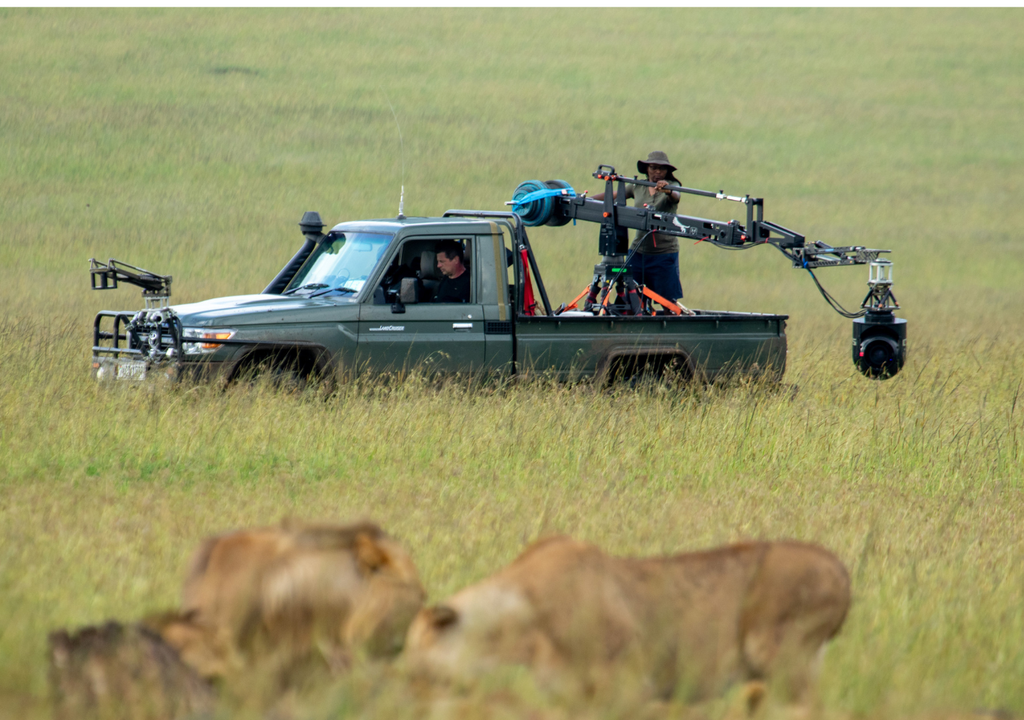 León documental Disney Una de las prioridades de la producción fue reducir la huella de carbono y los residuos generados durante el rodaje del documental. Foto: National Geographic