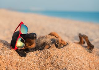 Kleinbudget, große Träume - Resturlaub im Sparmodus: Wie du dir trotz leerem Konto den Traumurlaub gönnst