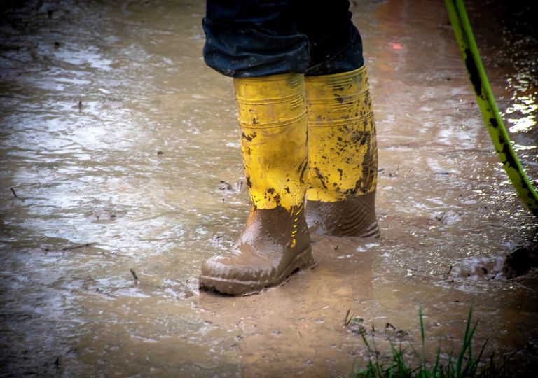 Fuerte aumento en los extremos de calor y precipitaciones mundiales Fuerte aumento en los extremos de calor y precipitaciones mundiales