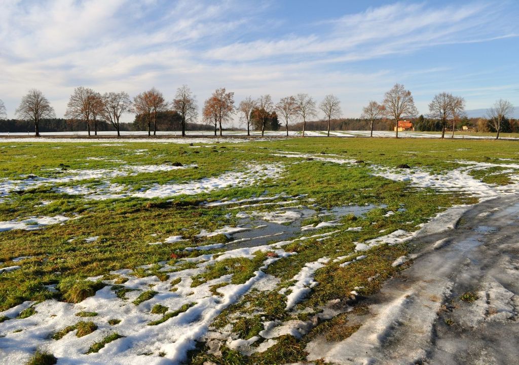 tauwetter, februar, wetter