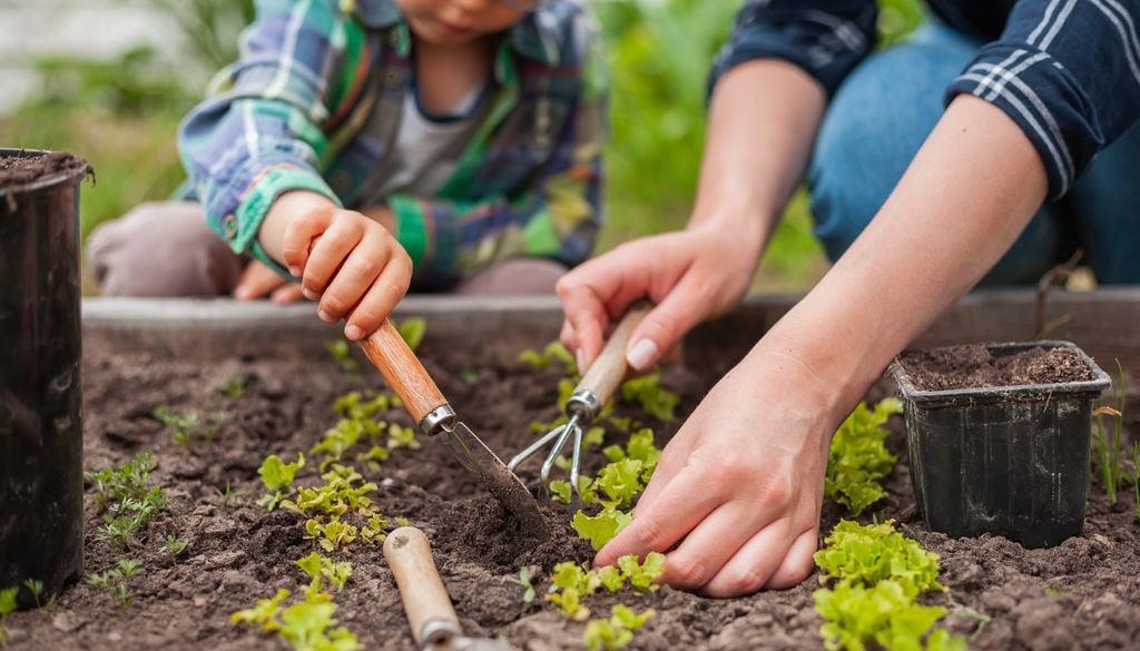 Im September startet für Gartenfreunde die nächste Pflanzsaison