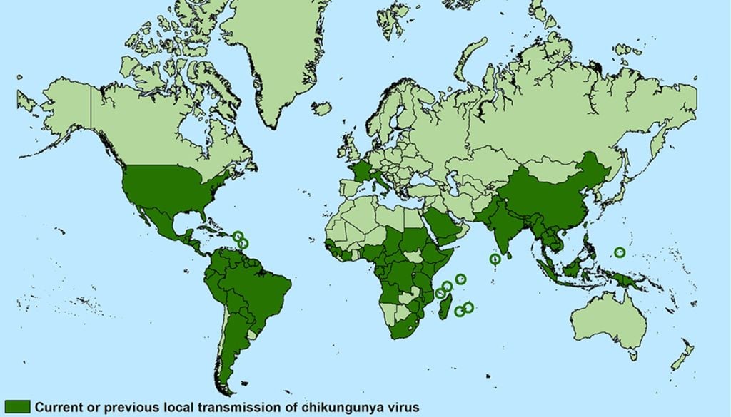 Die geografische Verbreitung des Chikungunya-Virus bis zum Jahr 2020. Die geografische Verbreitung des Chikungunya-Virus bis zum Jahr 2020. Bild: CDC