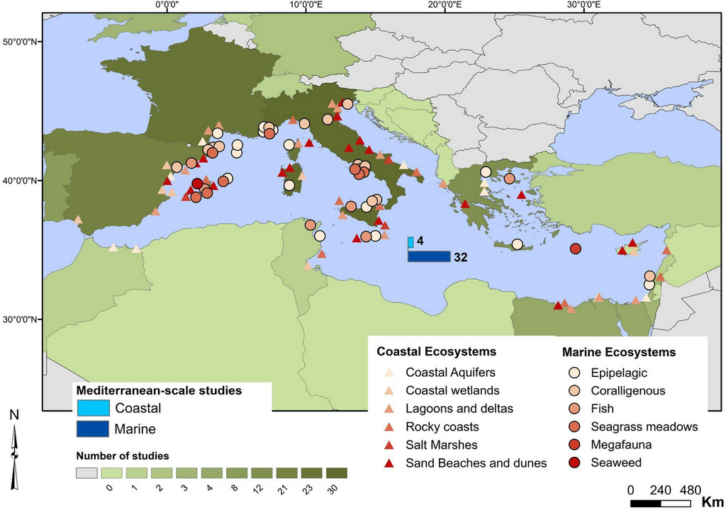 Die Untersuchungsorte der in der Risikobewertung berücksichtigten Studien. Bild: Hassoun et al., 2025