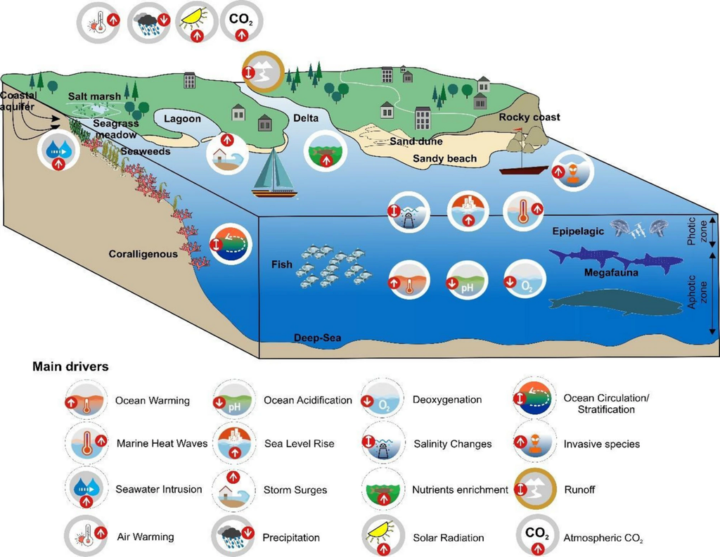 Schematische Darstellung der offenen Meeres- und Küstenökosysteme und der wichtigsten Einflussfaktoren. Bild: Hassoun et al., 2025