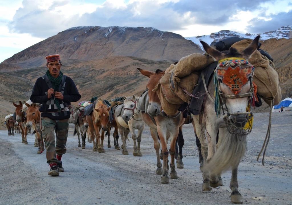 Le changement climatique rend la vie dans l'Himalaya de plus en plus difficile, en particulier dans l'agriculture.