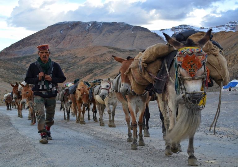 Klimawandel und Migration: Beispiel Himalaya Klimawandel und Migration: Beispiel Himalaya