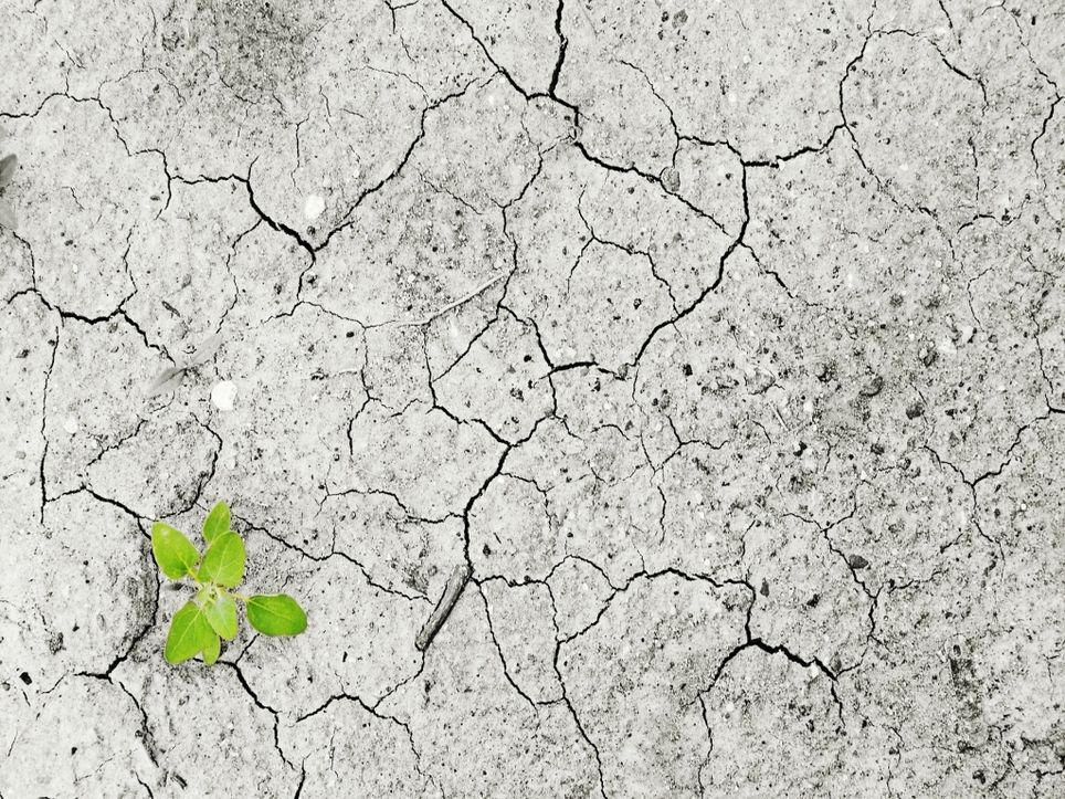 Klimawandel Rekordsommer 2019 Endet