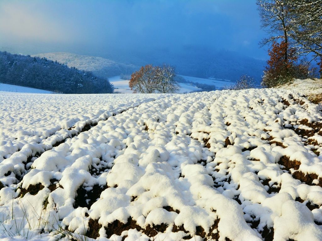 Wintervorhersage 2020 Wintervorhersage 2020
