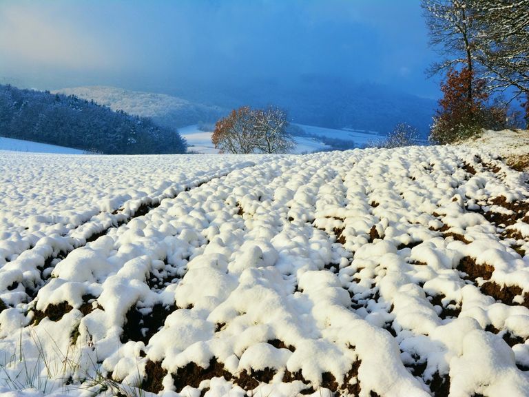 Wintervorhersage 2020 Wintervorhersage 2020
