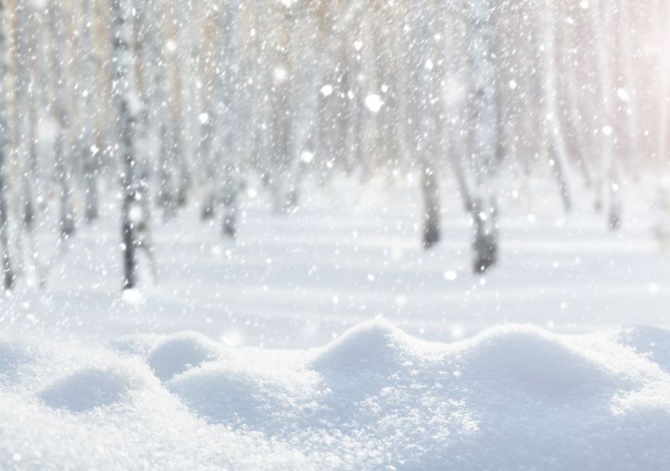 Kommt Irgendwann Nochmal Der Winter